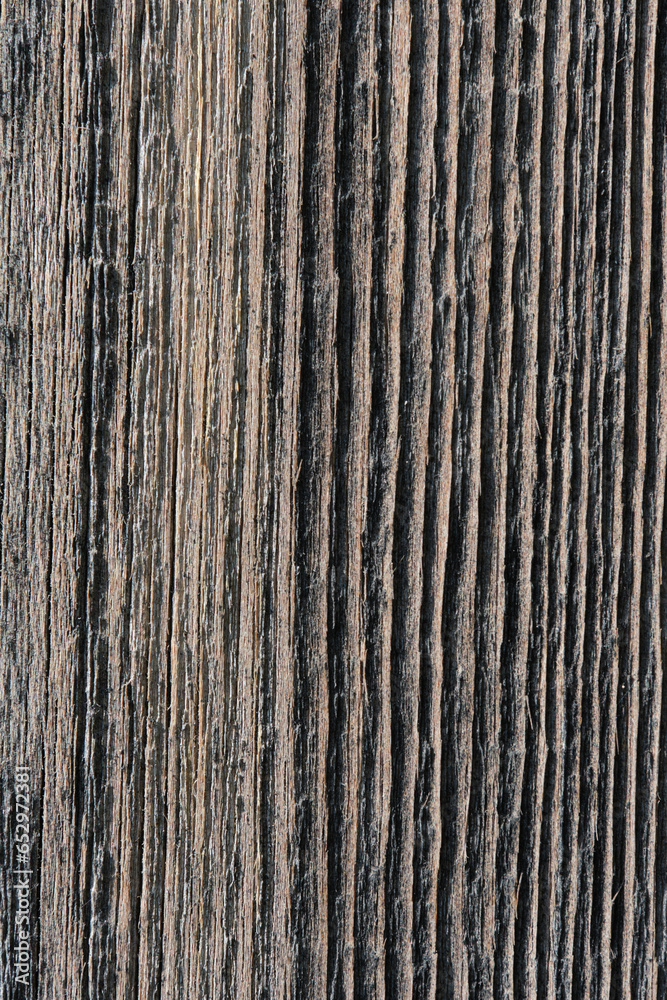 Wooden texture old faded board in macro photo.