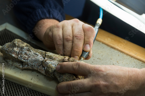 Canvastavla Travaux de nettoyage d'un fossile en laboratoire