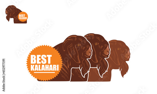 KALAHARI GREAT AND BIG GOAT LOGO, ailhouette of beautifull ram head vector illustrations photo