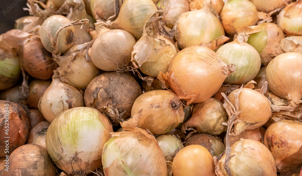 A very large amount of fresh harvested onions, lots of onions in a crate at the store, shop, supermarket, background, backdrop, wallpaper, nobody. Natural organic vegetables harvest, group of objects A very large amount of fresh harvested onions, lots of onions in a crate at the store, shop, supermarket, background, backdrop, wallpaper, nobody. Natural organic vegetables harvest, group of objects