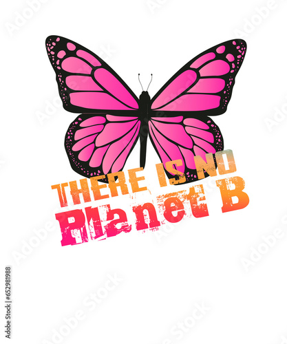 Bunter Schmetterling - There is no Planet B photo