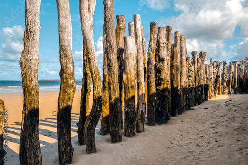 fence on the beach