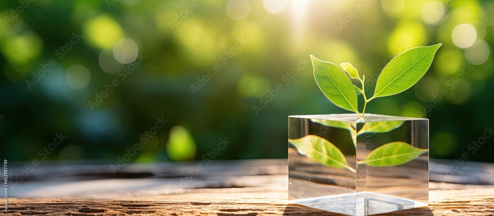 Cube wooden background with blurred nature and ESG concept of impact investing sustainable funds internet of things energy AI and text space - obrazy, fototapety, plakaty 