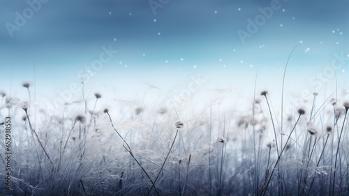 Bokeh Style  Snowy Field and Delicate Flowers