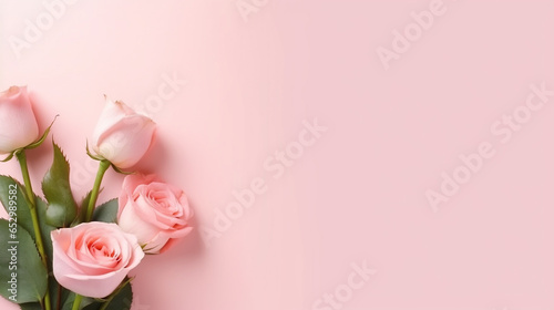 pink rose on pink background, generative AI