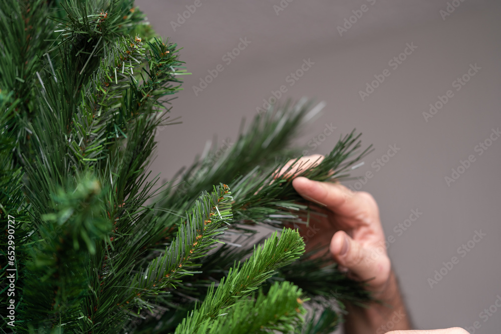 mano sosteniendo agujas de rama filosas de árbol de navidad artificial  - obrazy, fototapety, plakaty 