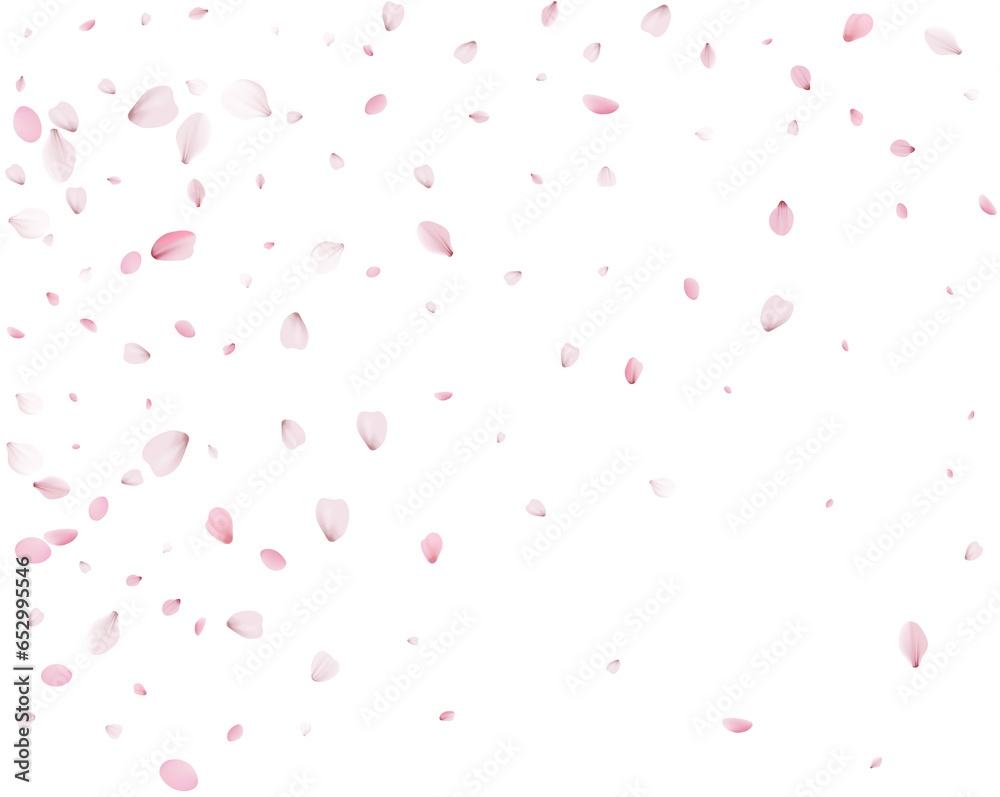Cherry petals in a colorful spring swirl. Cherry petals in a colorful spring swirl.