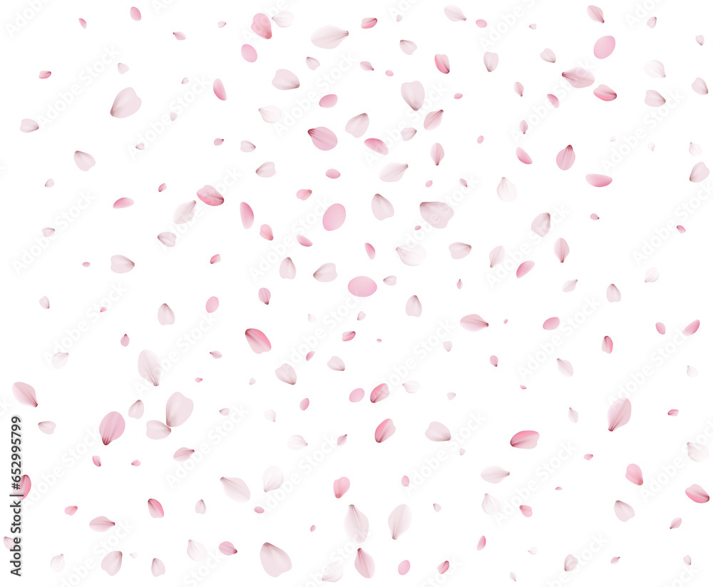 Many cherry petals are swirling in the wind.