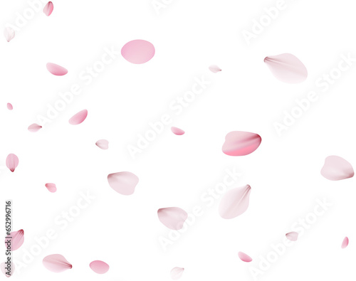 Sakura petals, unobtrusive festive background.