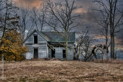 abandoned house in the woods