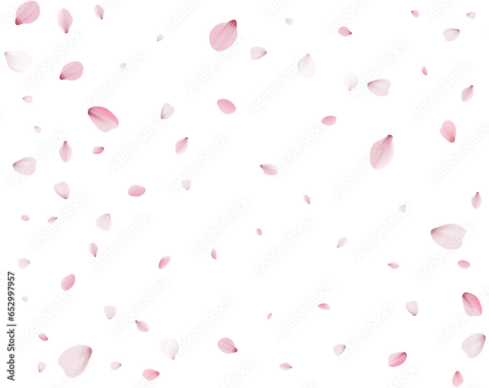 Many cherry petals, spring background.