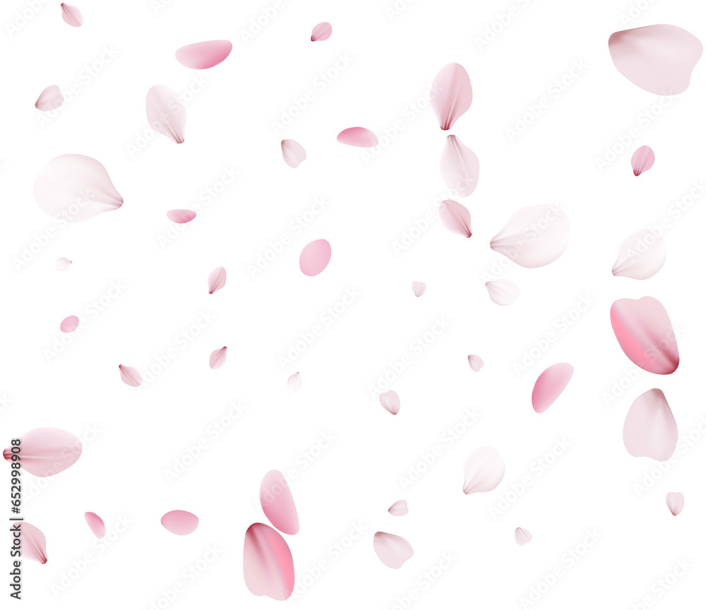 Cherry petals, unobtrusive festive background. Cherry petals, unobtrusive festive background.