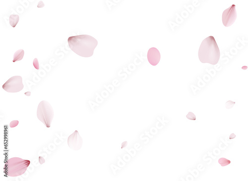 Cherry petals, unobtrusive festive background. #652998961