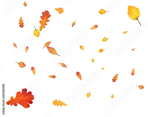 Many autumn leaves are swirling in the wind.