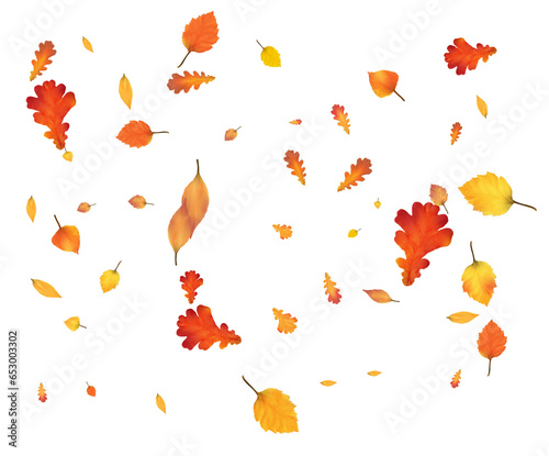 Lots of autumn leaves  festive leaf fall.