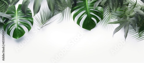 Tropical leaves overlay on white background for product presentation backdrop mockup and summer concept