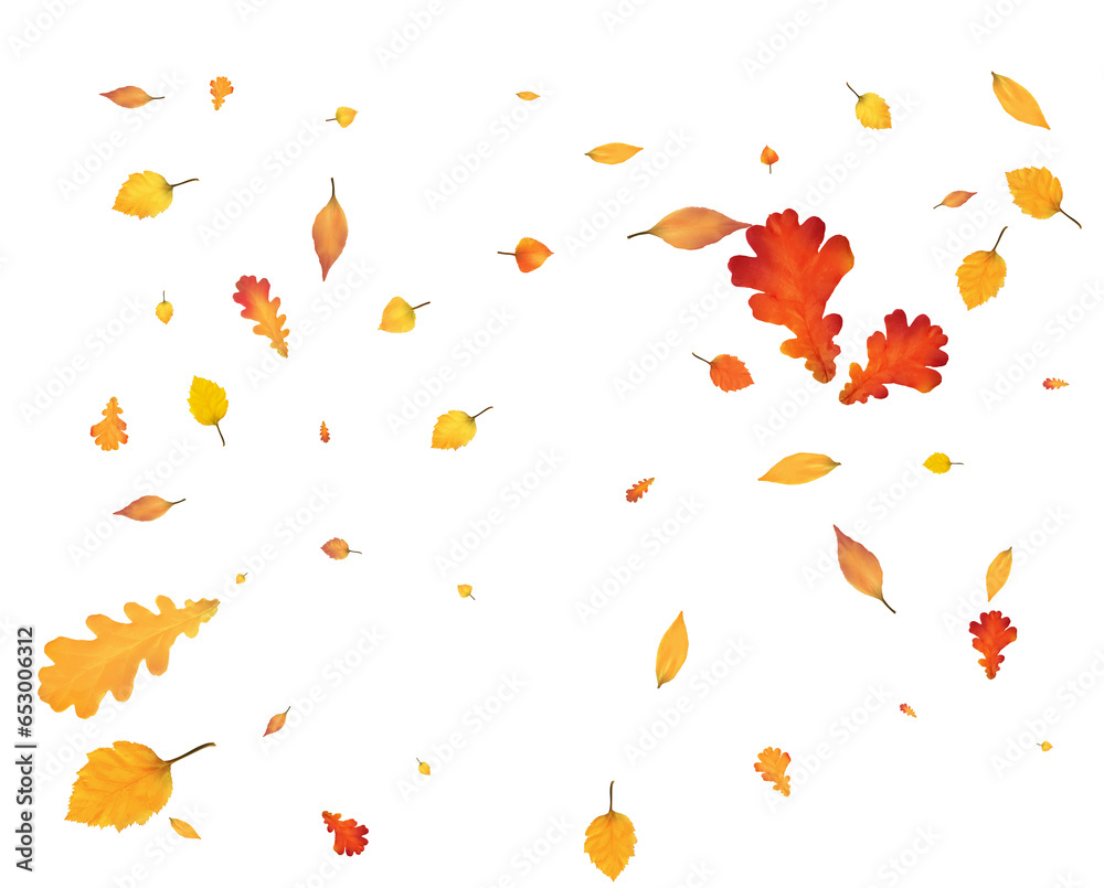 Festive autumn background from leaves. Festive autumn background from leaves.