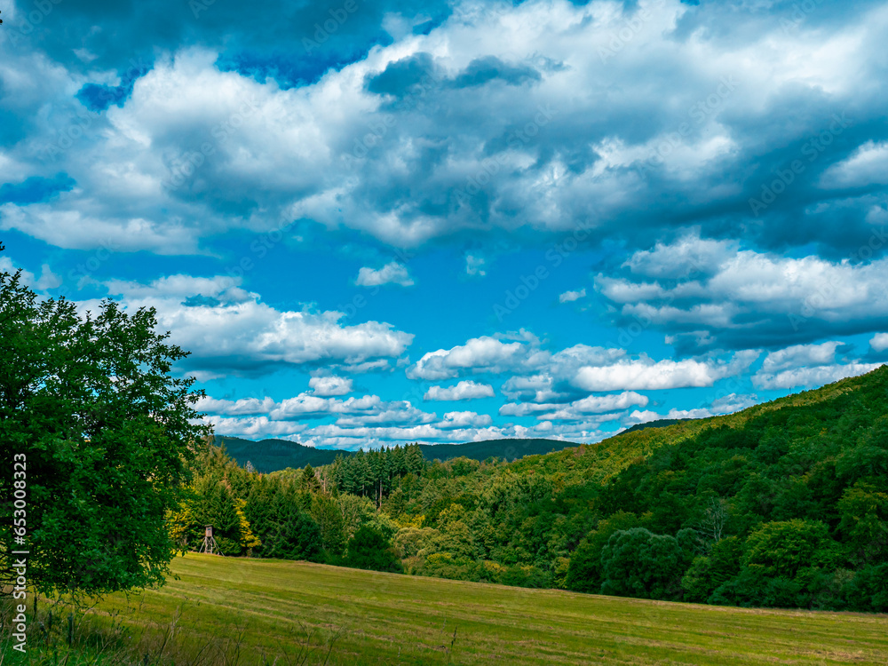 Landscape shot of a forest with a field under a cloudy sky