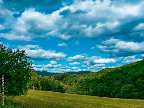 Landscape shot of a forest with a field under a cloudy sky
