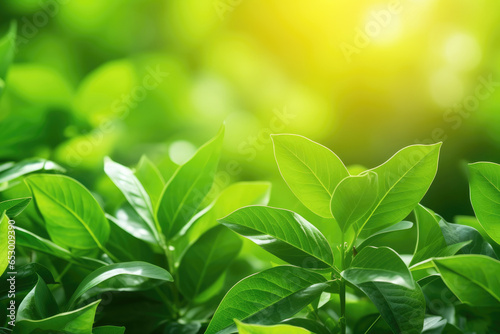 Spring natural green leaf background. blurred greenery background. using as spring and nature background. selects focus. Generative ai