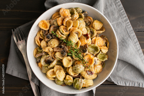 Orecchiette with Mushroom Thyme Sauce in a Pasta Bowl: Pasta and mushrooms in cream sauce served in a large shallow bowl photo