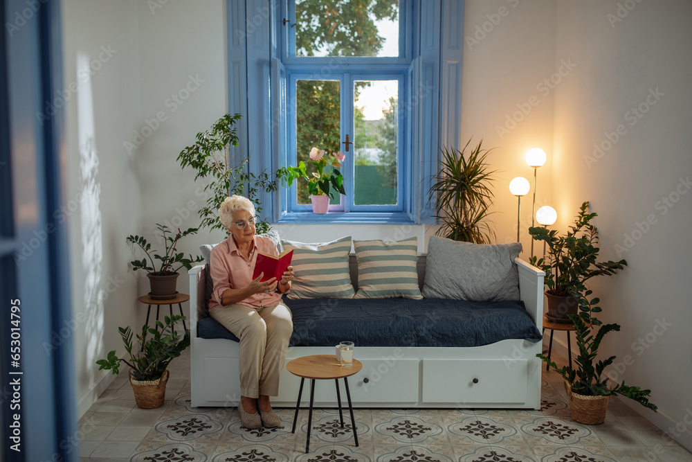 Obraz premium Elderly woman sitting on the sofa and reading a book