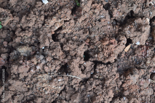 brown cracked dry and arid soil texture background, Global Warming and Climate Change.