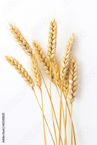 Wheat on white background. Generative AI