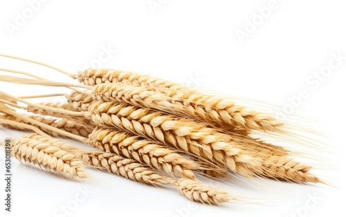 Wheat on white background. Generative AI