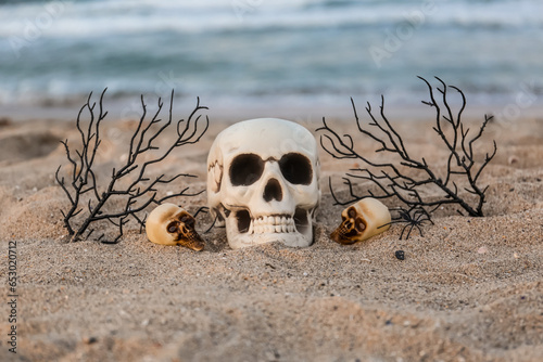 Skulls for Halloween with twigs on beach