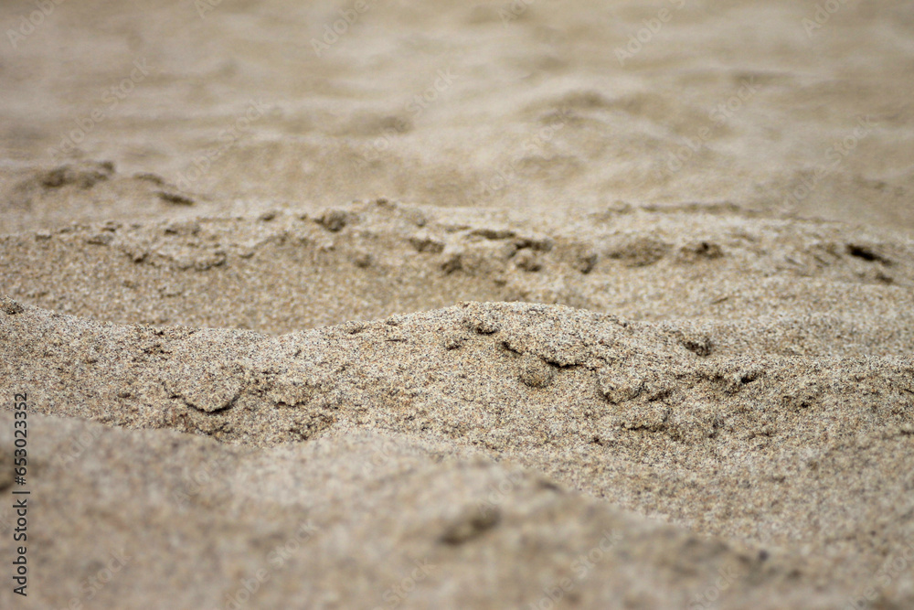 photography background with closeup of beach sand photography background with closeup of beach sand