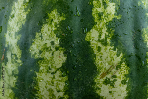 Wallpaper Mural green peel of a ripe watermelon close up Torontodigital.ca