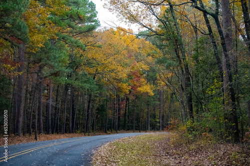 Country road lined with beautiful fall colored foliage.
