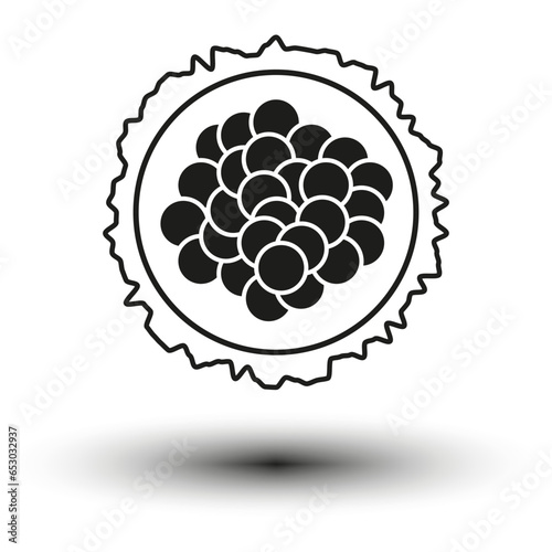 Morula cell icon. Embryo development stage icon. Vector illustration. EPS 10.
