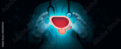Digital bladder and prostate in the doctor's hand, HBP. Prostate cancer, bladder cancer, men's healthcare. Urology. Doctor isolated on dark digital and technological background photo