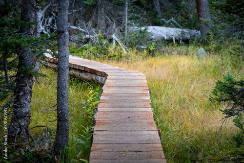 Wooden Hiking Path Through Woods