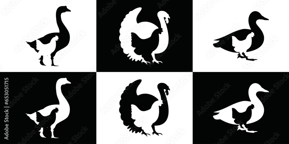 Logo template of chicken farm, turkey farm, duck farm, goose farm. goose, duck, turkey, chicken symbol in black and white colors.	