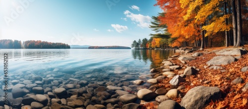 Colorful autumn landscape with a lake view in the forest