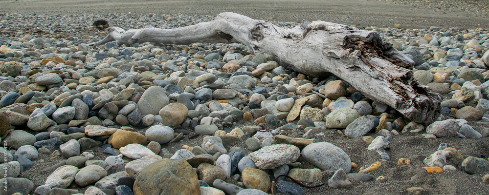 Fototapeta premium Rocks and tree trunk at low tide beach