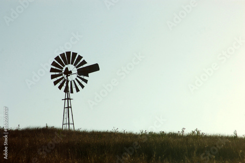 windmill in paddock