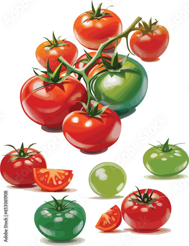 Set of tomatoes isolated vector red and green with soft lighting and shadow