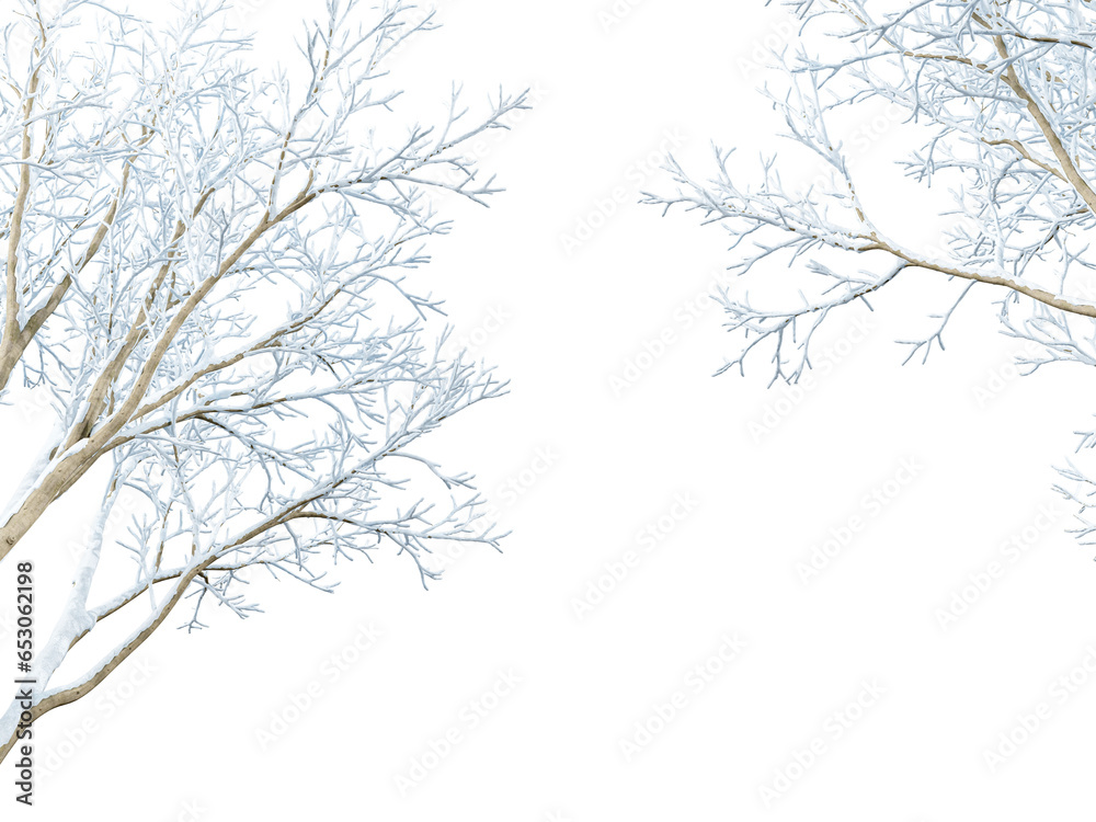 Branches of a tree in winter on white isolated Branches of a tree in winter on white isolated