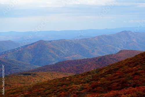 Autumn at Dolly Sods Wilderness