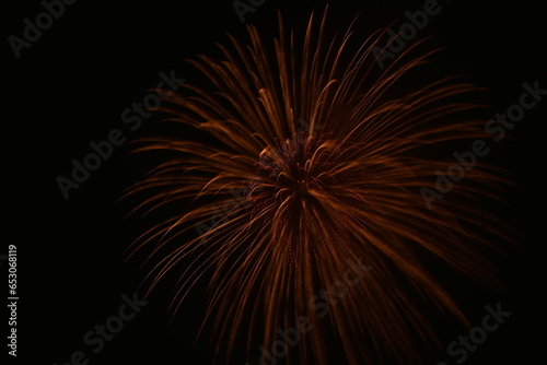 fireworks in the night sky