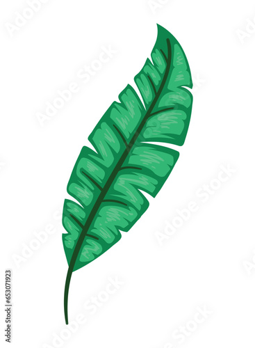 exotic leaf plant illustration
