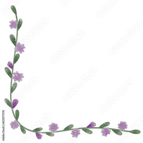 Colorful flowers Botanical plant illustration transparent background