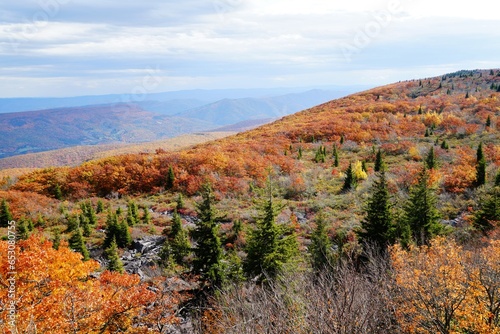 Autumn in the Wilderness