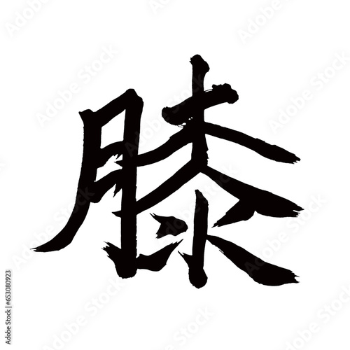 Japan calligraphy art【knees・무릎】日本の書道アート【膝・ひざ・ヒザ・シツ】／This is Japanese kanji 日本の漢字です／illustrator vector イラストレーターベクター