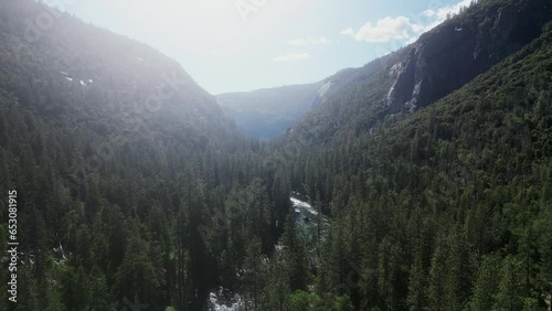 Drone flying through forest in Yosemite