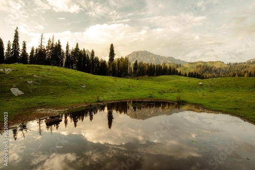 Beautiful mountain scenery. In-depth trip on the Nafran Valley Trek in Jammu and Kashmir, India